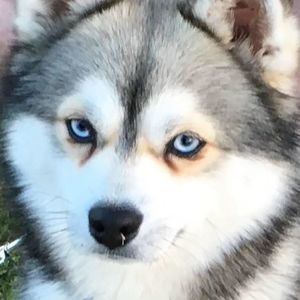 Meet your Posher, Lorelai